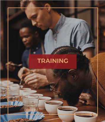 Red Sirocco Coffee Training