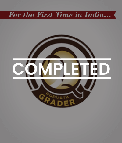 Q-Robusta-profile-completed